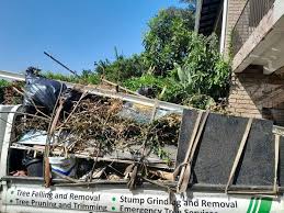 Best Furniture Removal  in Hazlehurst, GA