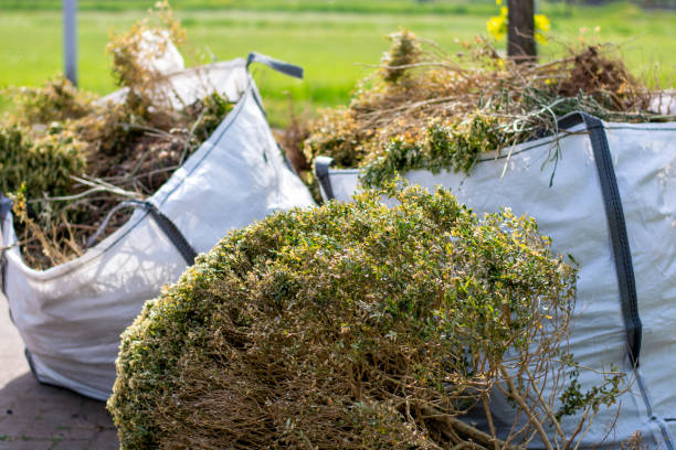 Best Carpet Removal and Disposal  in Hazlehurst, GA