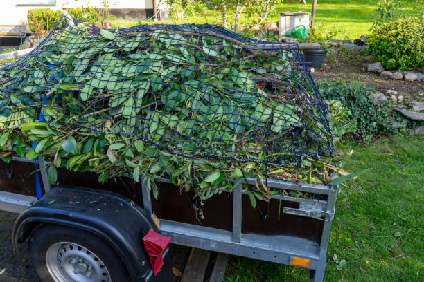 Best Dumpster Rental Services  in Hazlehurst, GA